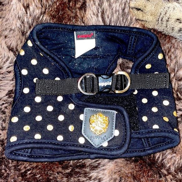 Puppia Gold Sparkle leash collar harness set. Furrylicious! Excellent condition. - Picture 5 of 12